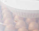Liaheň na vajcia PUISOR IO-103TH (51 vajec)